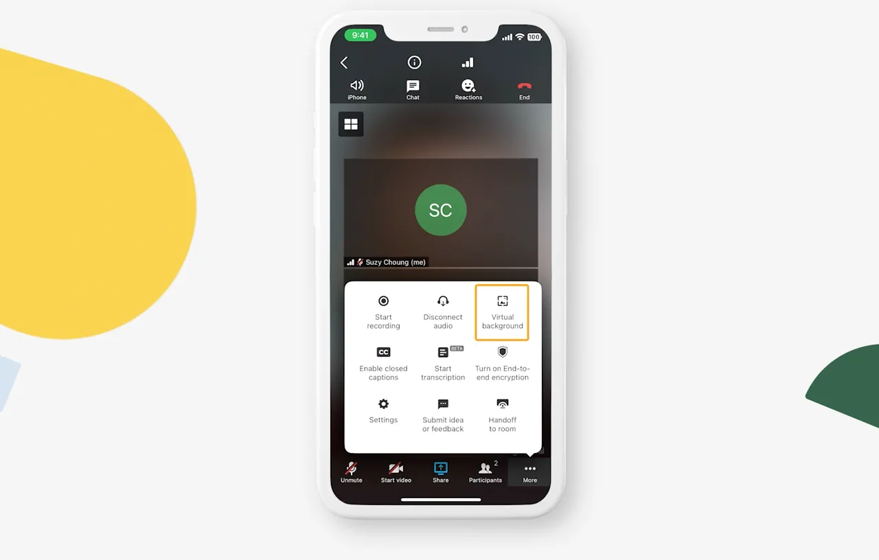 Video attendee controls